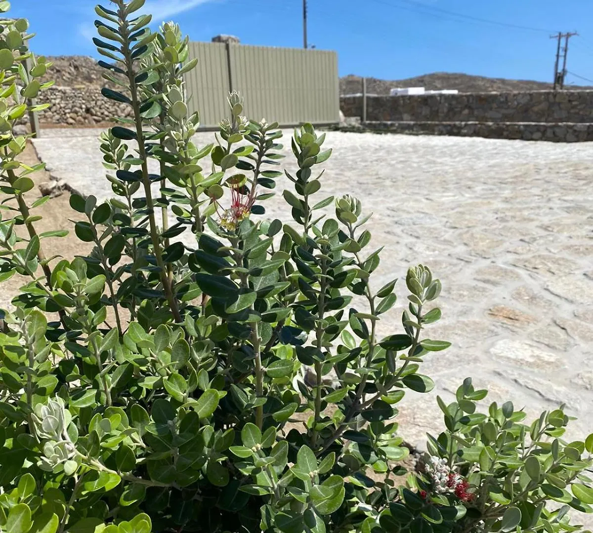 Citadel Natural Stone Villa Mykonos Town